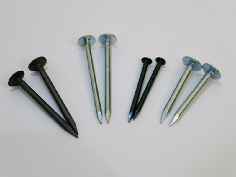 Wisdom International Trading Co.,Ltd.